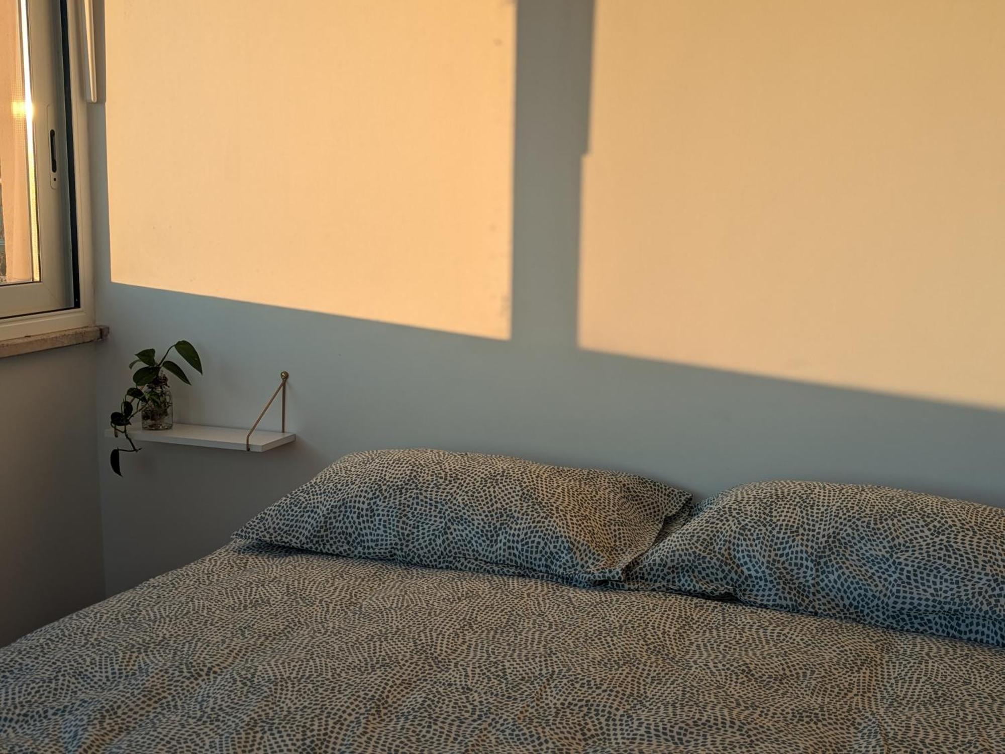 Casetta Sole, Superattico Con Terrazzo Vicino San Pietro, New 로마 외부 사진